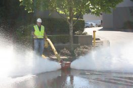 Fire Flow Tests, How & Why