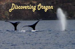 Exploring Oregon
